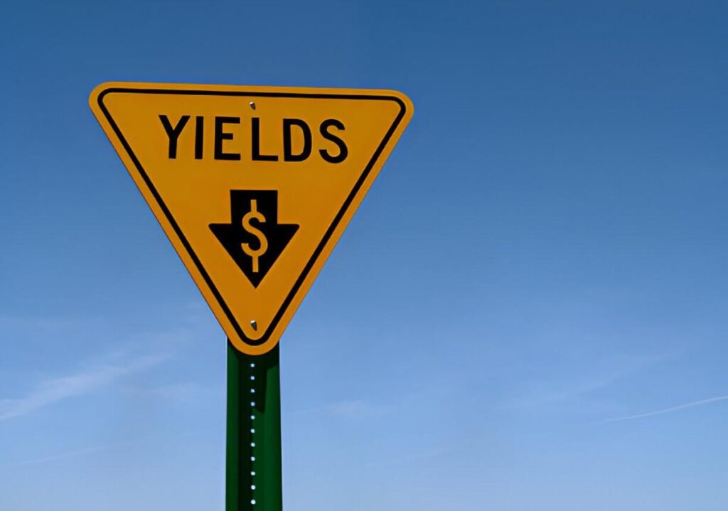 Yield to Redemption Understanding the Total Returns on Investment Bonds