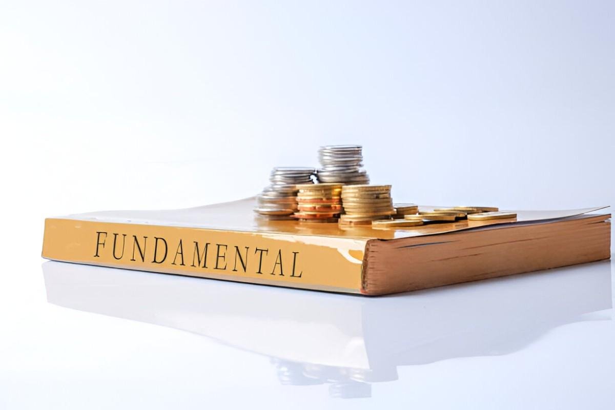 Financial Fundamentals