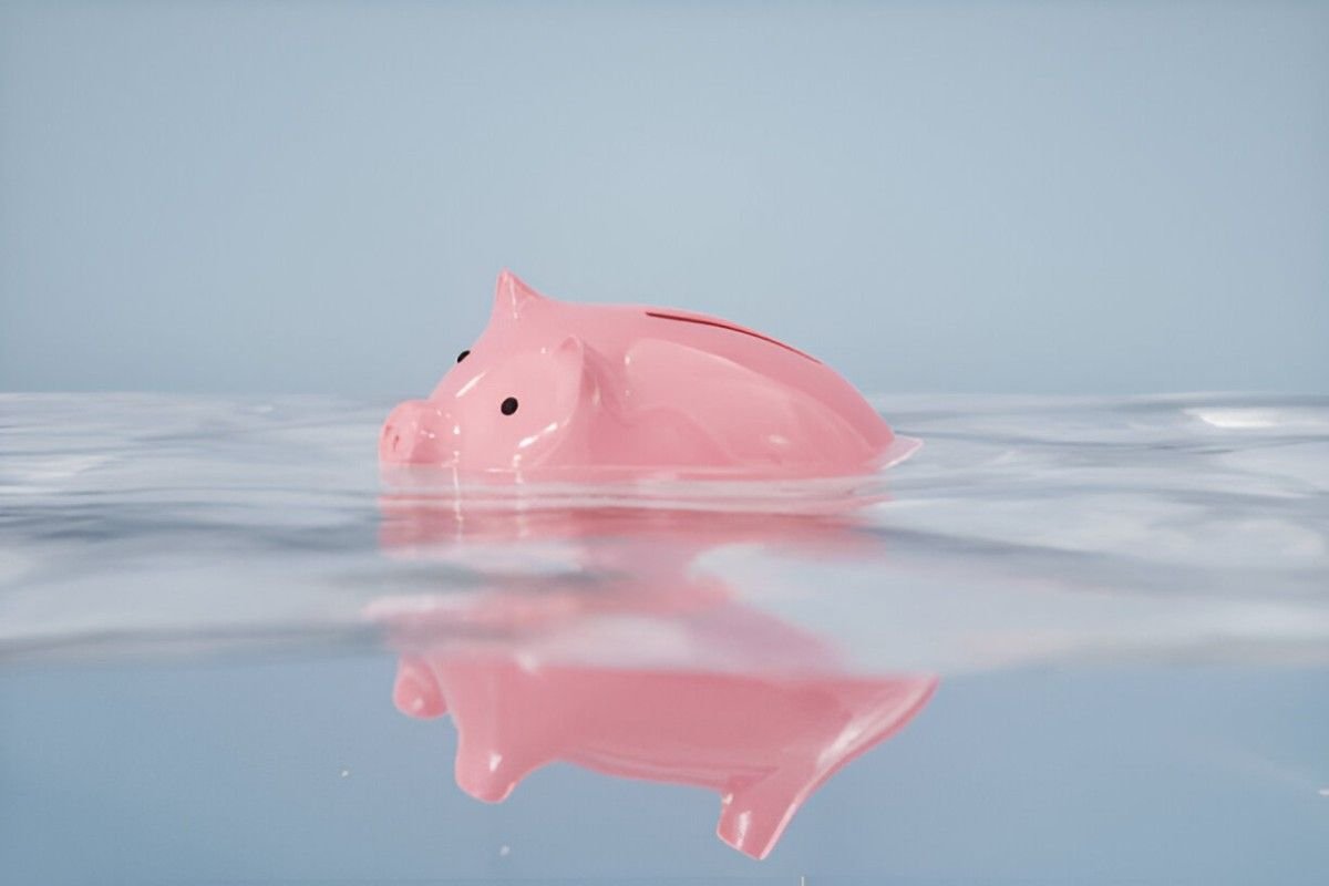 Navigating Financial Waters Understanding Shark Watcher in Simple Terms