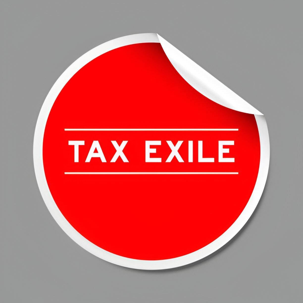 Navigating Tax Choices A Beginner's Guide to Understanding Tax Exile