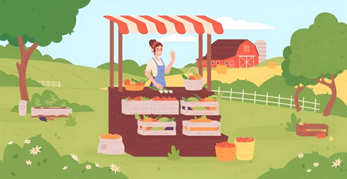 Navigating the Terrain Understanding a Seller's Market