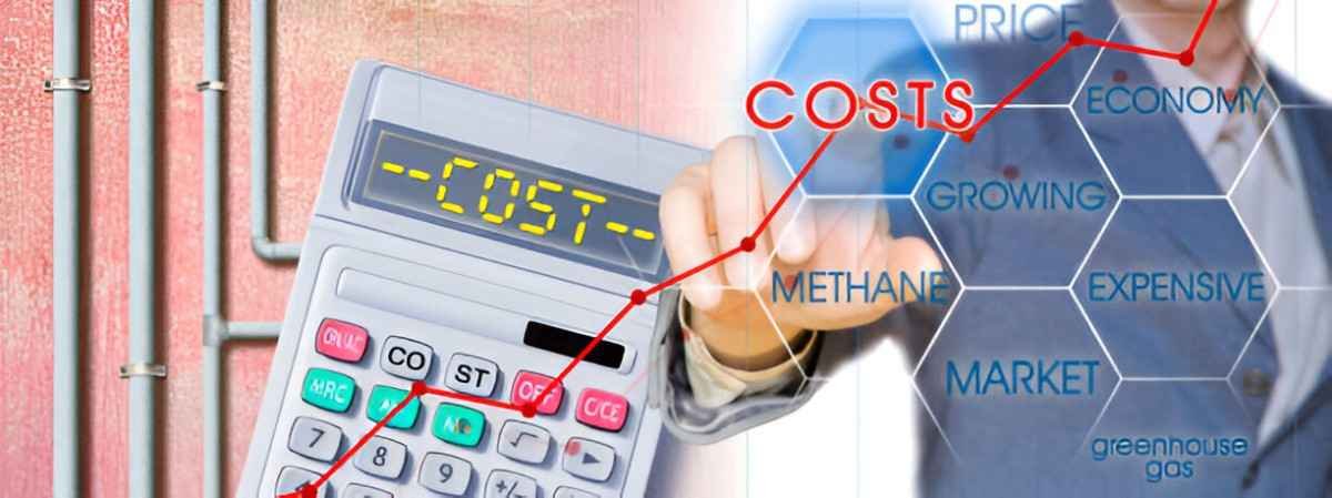 Standard Operating Cost
