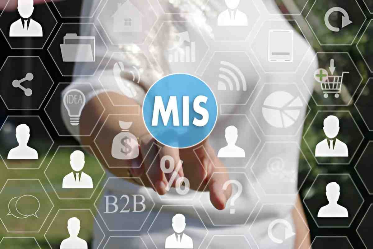 Misdeclaration Penalties
