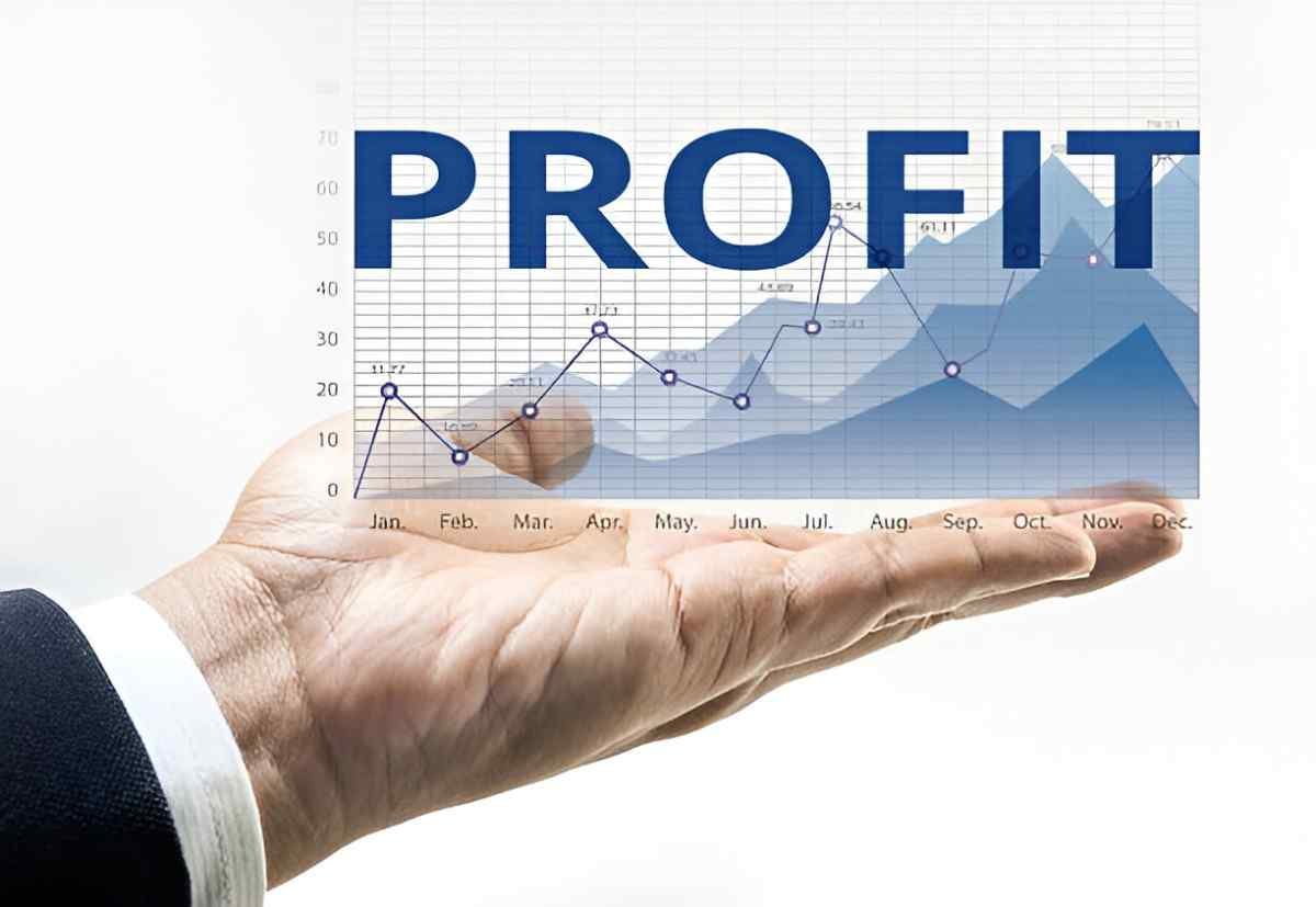Net-Profit Ratio