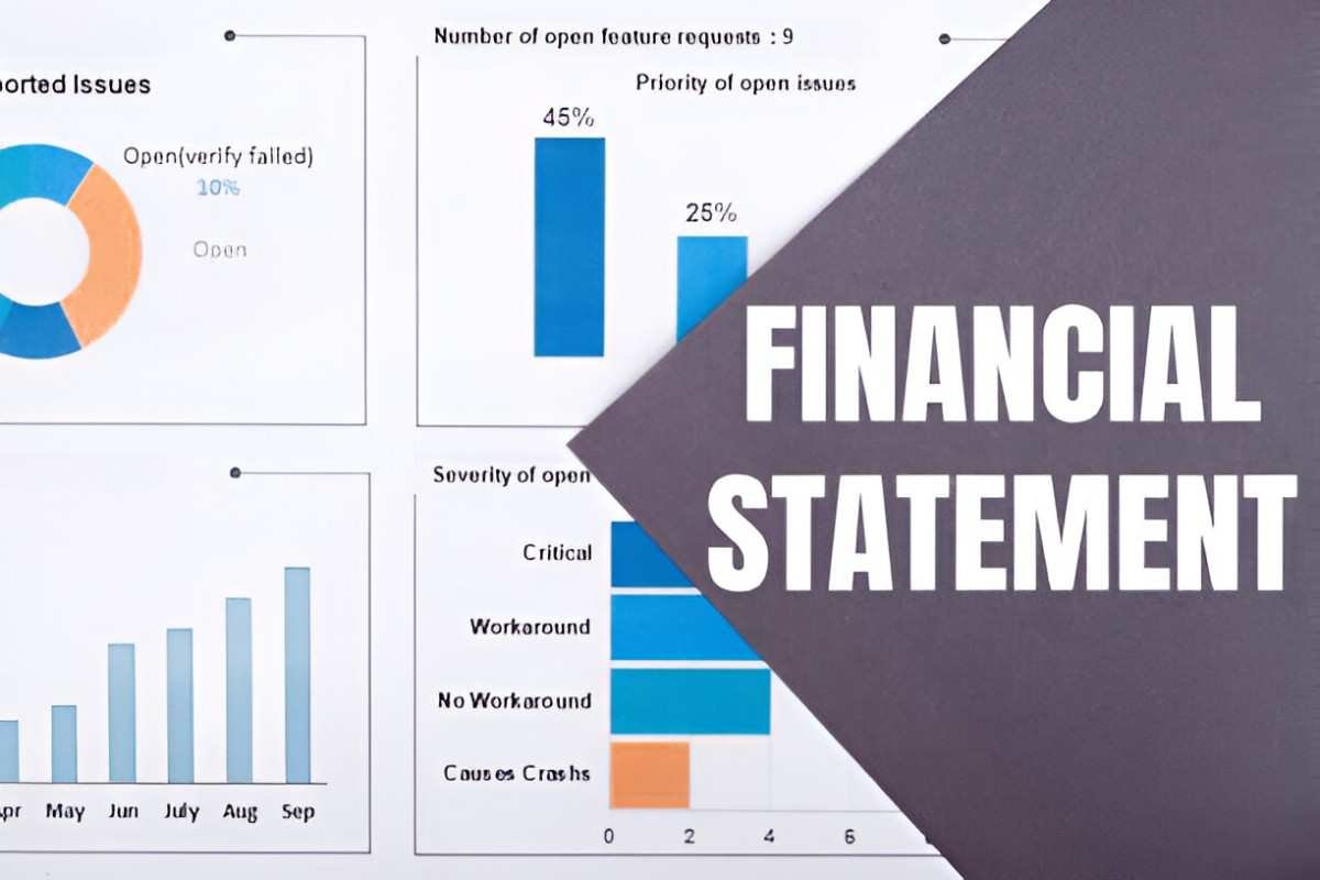 Proforma Financial Statements
