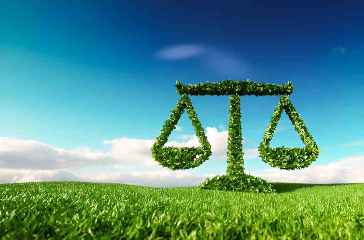 Understanding Natural Justice A Simple Guide for Learners