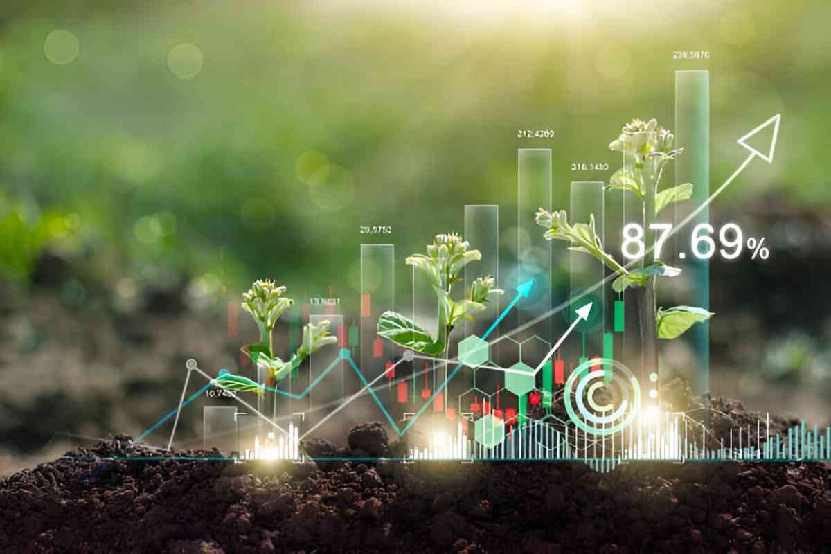 Understanding Produce Brokers Facilitators of Agricultural Trade