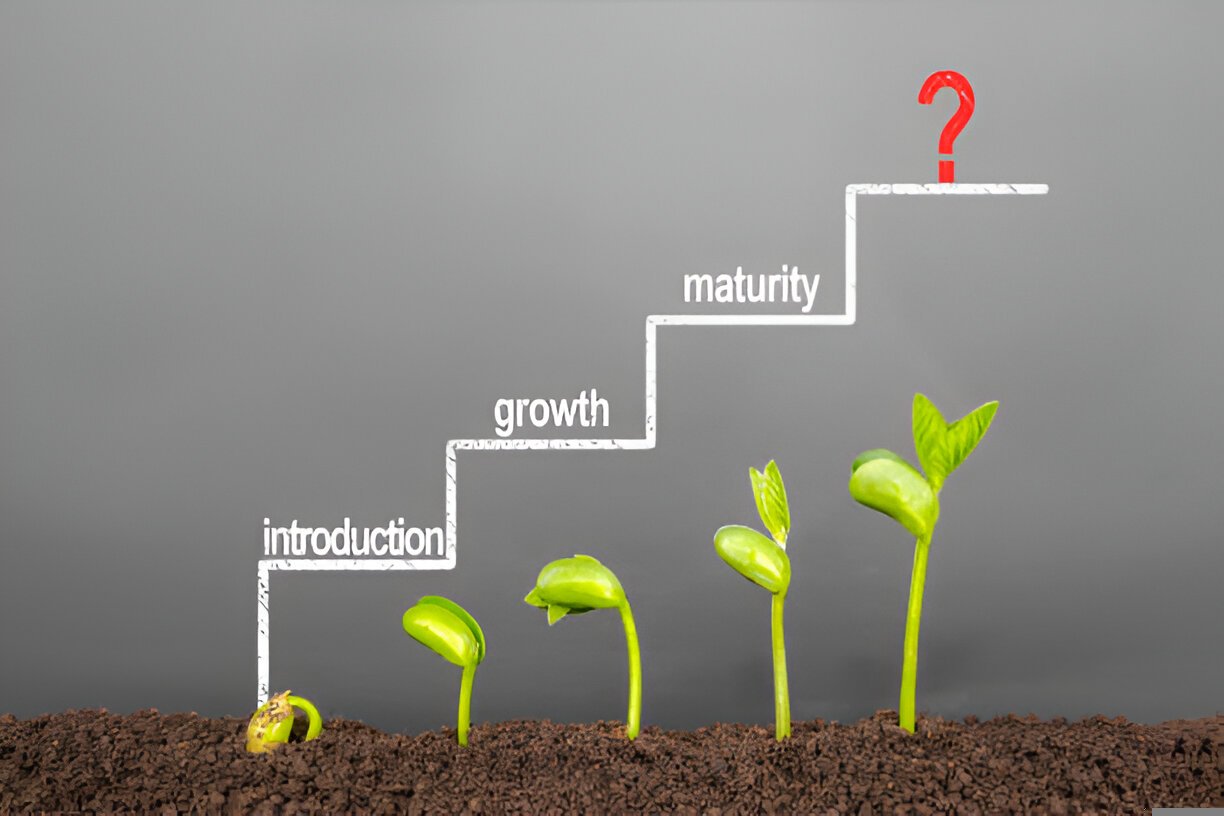 Understanding the Maturity Stage in Business Lifecycle