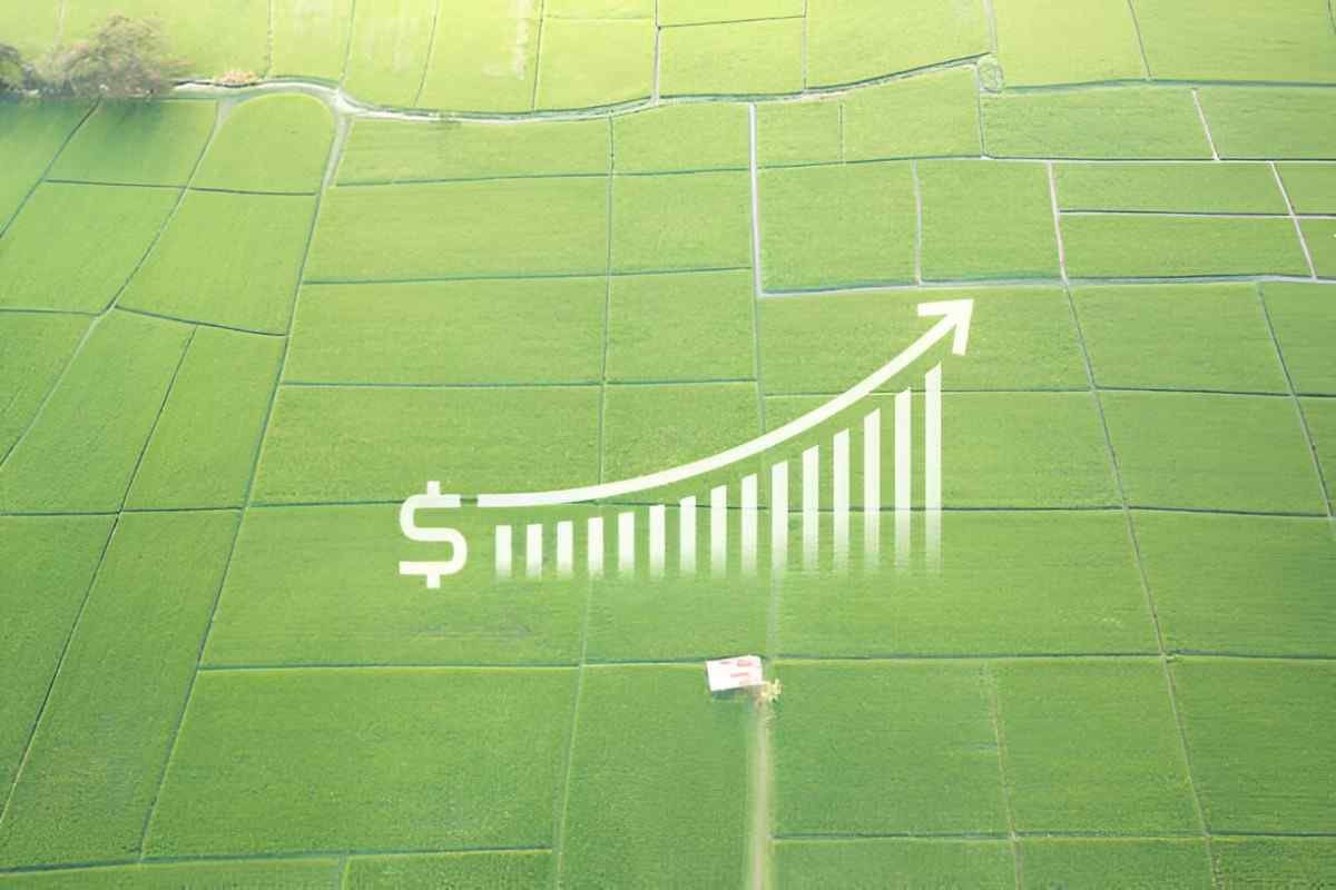 Unveiling Predatory Pricing A Beginner's Guide