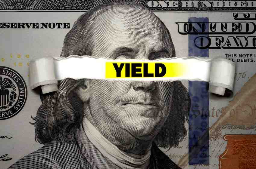 Unveiling Redemption Yield A Beginner's Guide