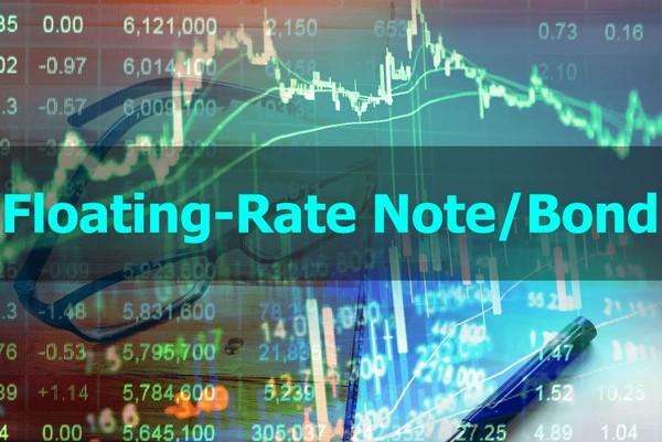 Capped Floating Rate Notes