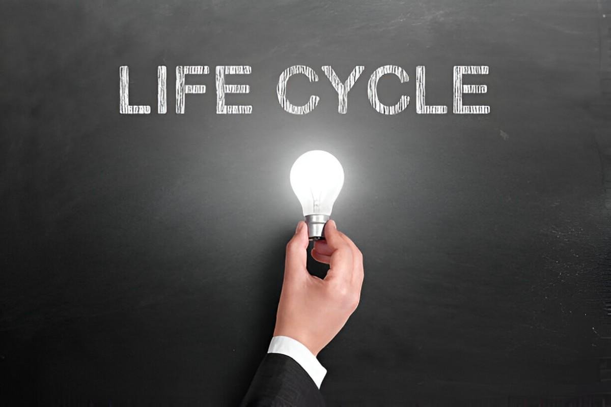 Demystifying Life-Cycle Segmentation Understanding, Benefits, and Practical Applications