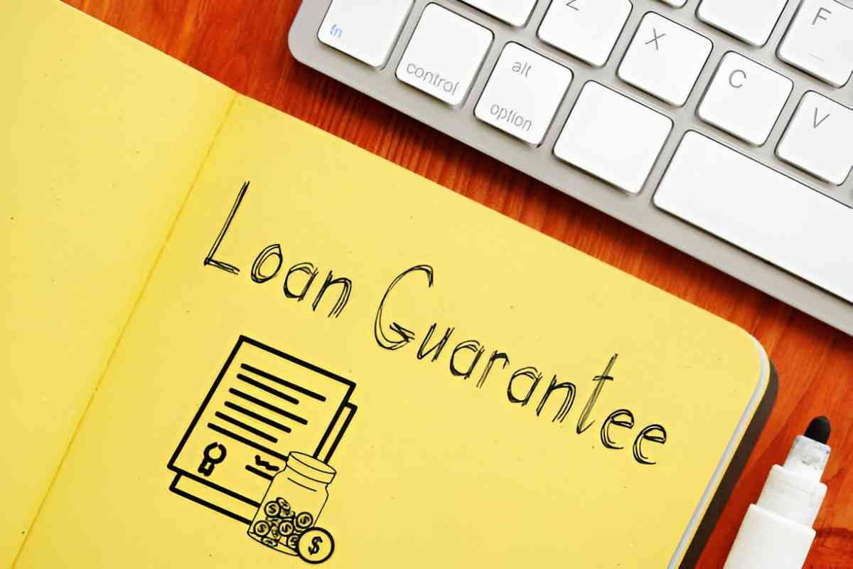 Loan Guarantee Schemes