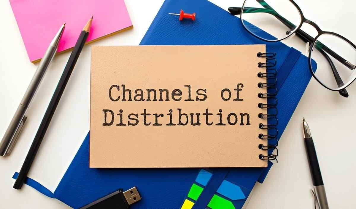 Understanding Conventional Distribution Channels A Simple Guide for Beginners