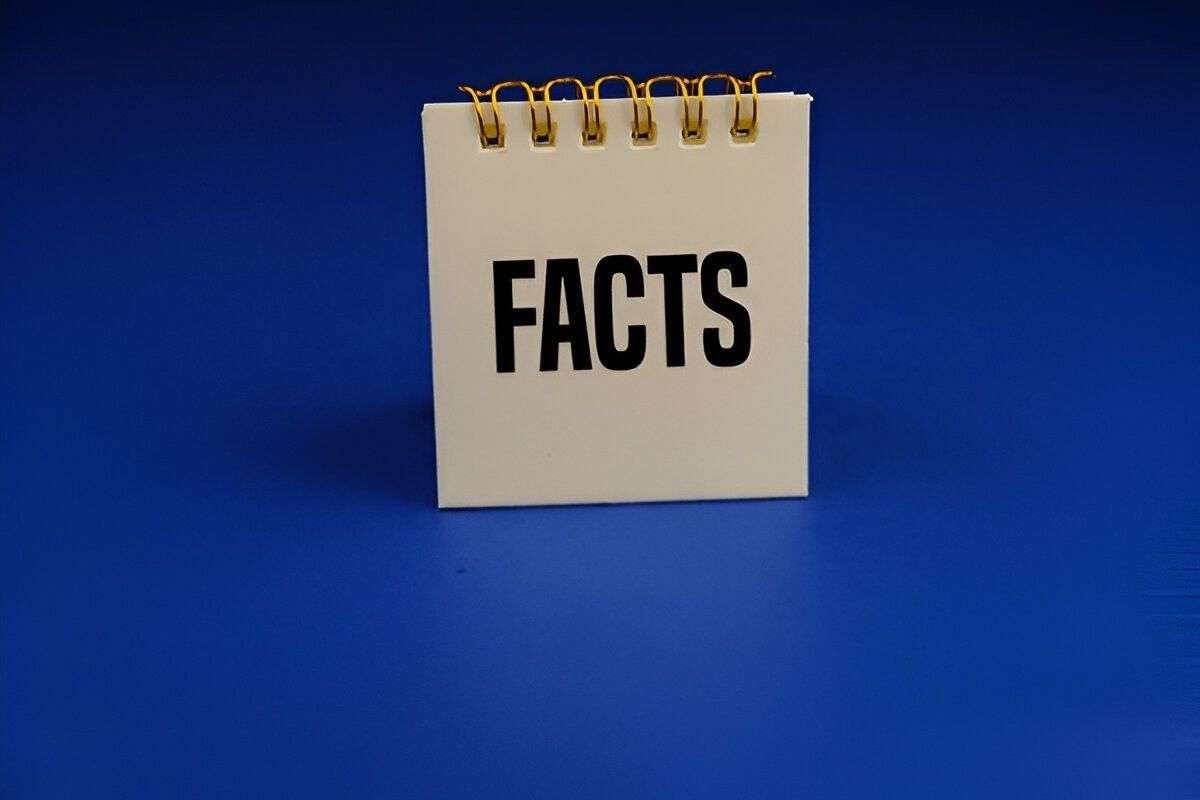 Understanding De Facto Definition, Examples, and Usage Explained