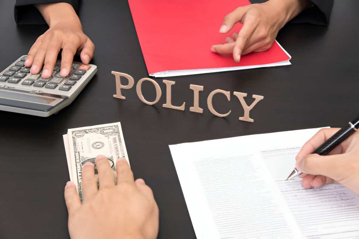 Understanding Excess Policy Definition, Examples, and Importance