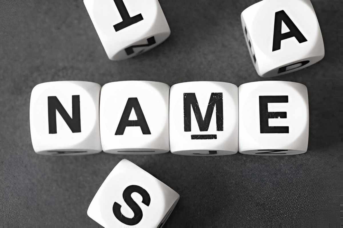Understanding Generic Names Definition, Examples, and Importance Explained