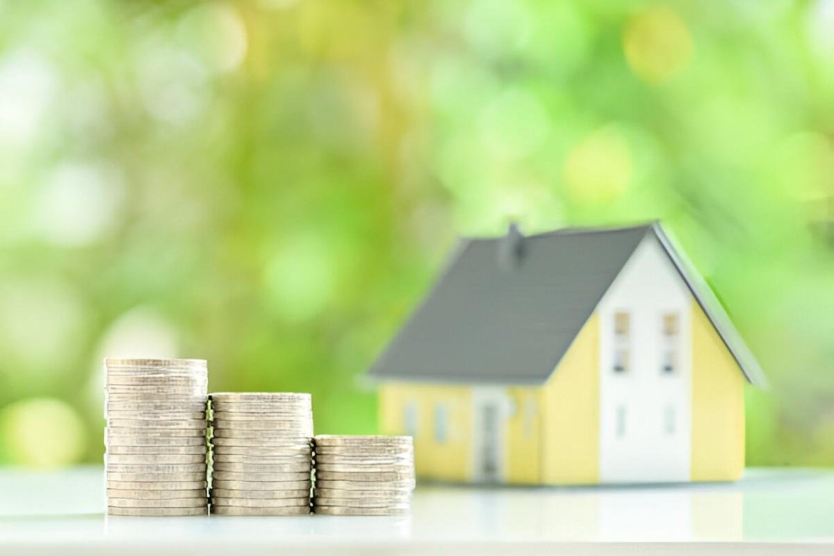 Understanding Grant of Probate Definition and Process Explained
