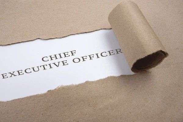 a Chief Executive Officer (CEO)