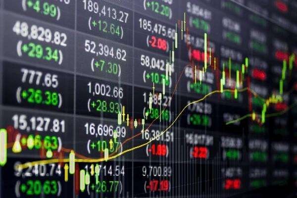 Capital Stock