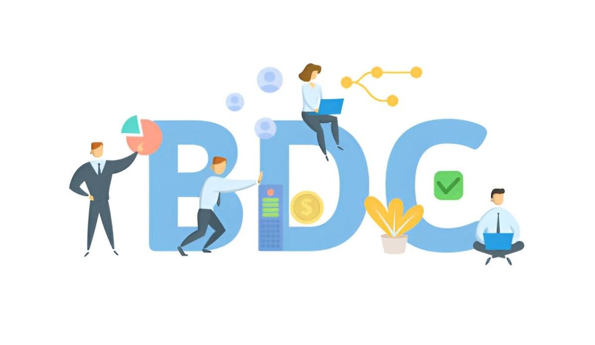 Are BDCs a Good Investment An In-Depth Look