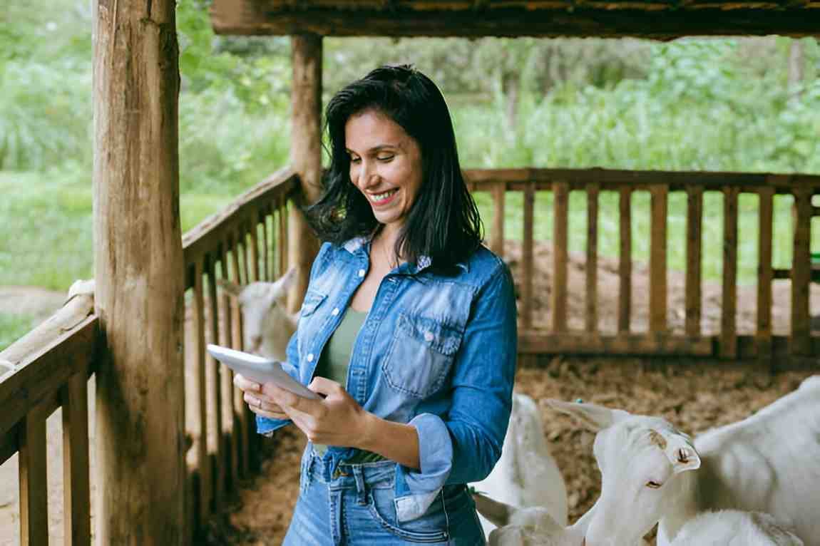 Are Goats a Good Investment A Detailed Analysis