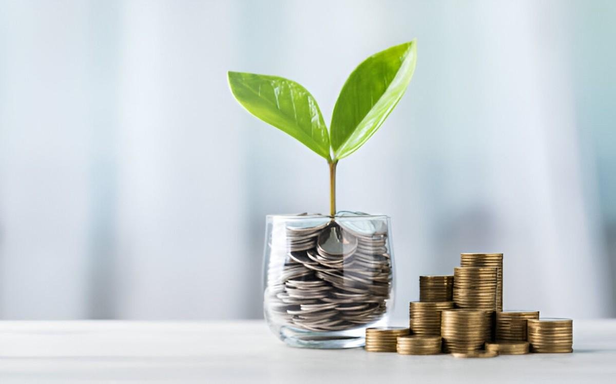 Are Investments Halal or Haram A Deep Dive into Islamic Finance