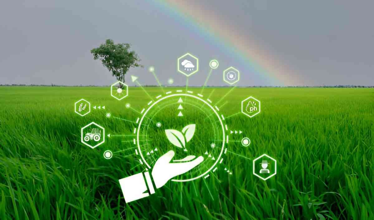 Exploring the Advantages of Blockchain Technology in Agriculture
