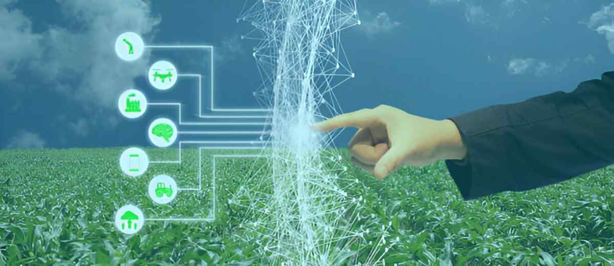 The Intersection of Agritech and Blockchain Revolutionizing Agriculture with Technology