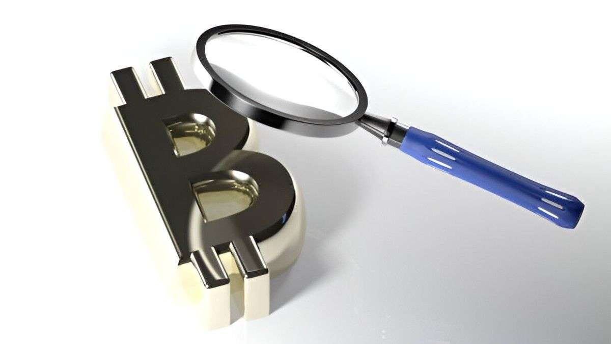 The Ultimate Guide to Blockchain Explorers A Deep Dive into Functionality, Features, and Use Cases