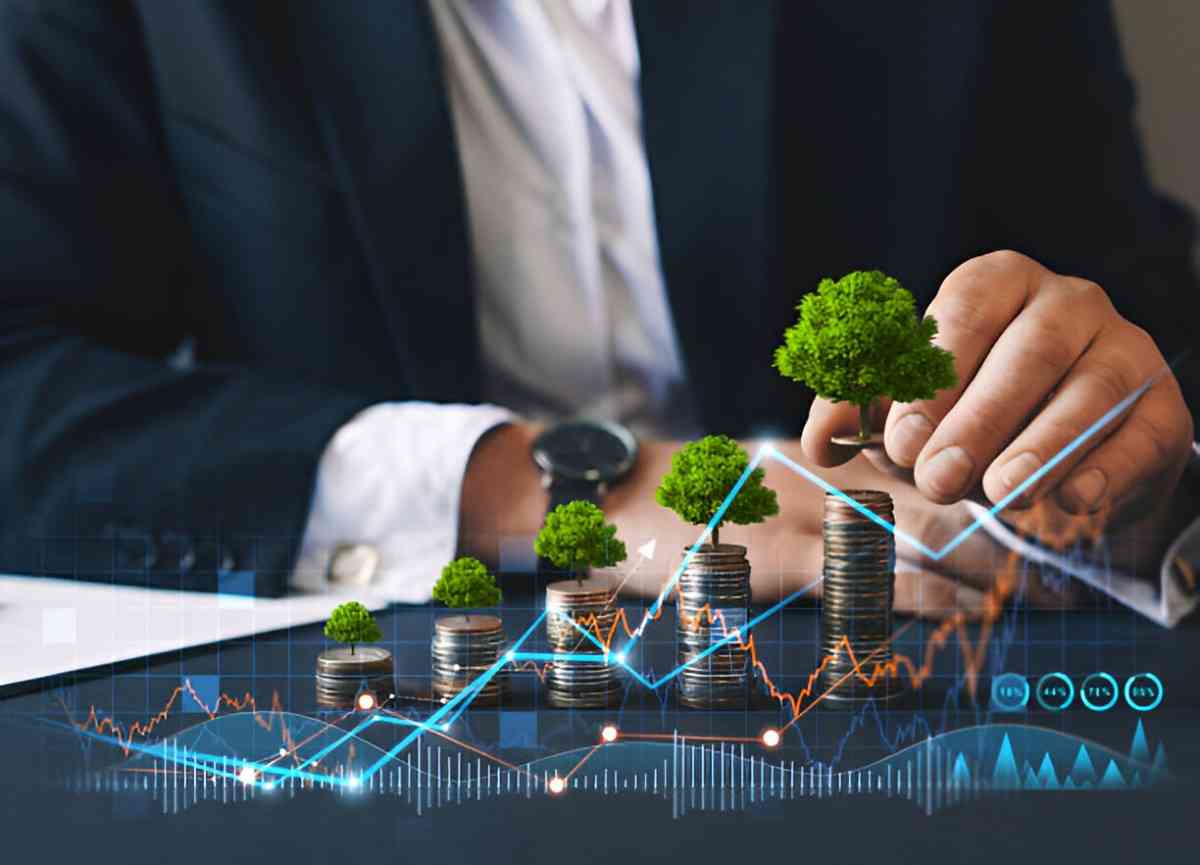 Financial Sustainability Theory A Comprehensive Examination
