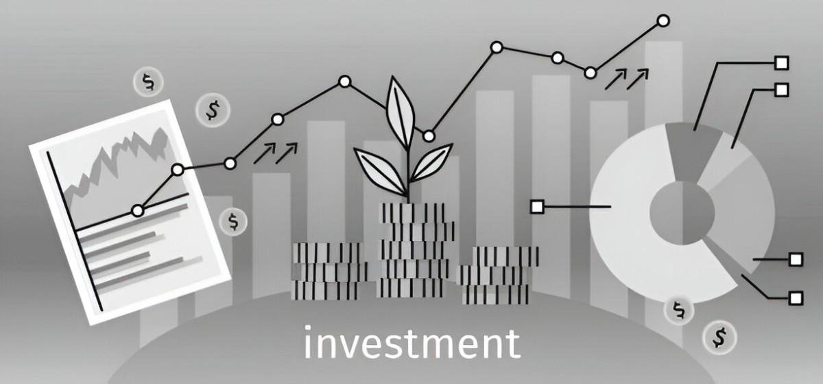 The Minsky Financial Theory of Investment: A Comprehensive Analysis