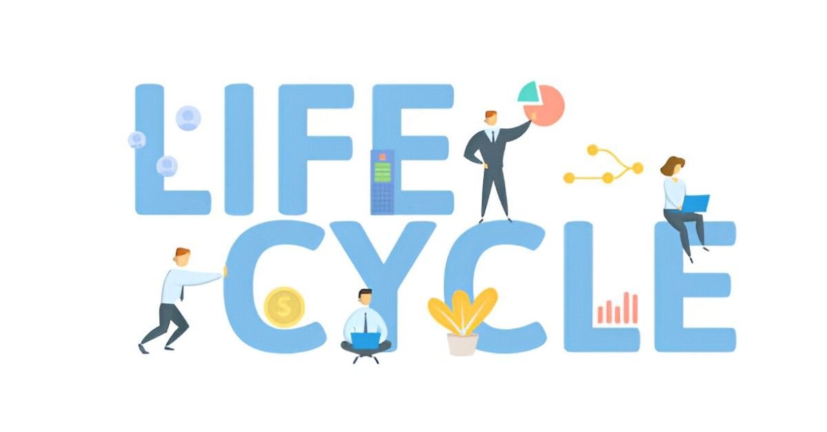 Understanding the Life Cycle Hypothesis of Saving and Investment