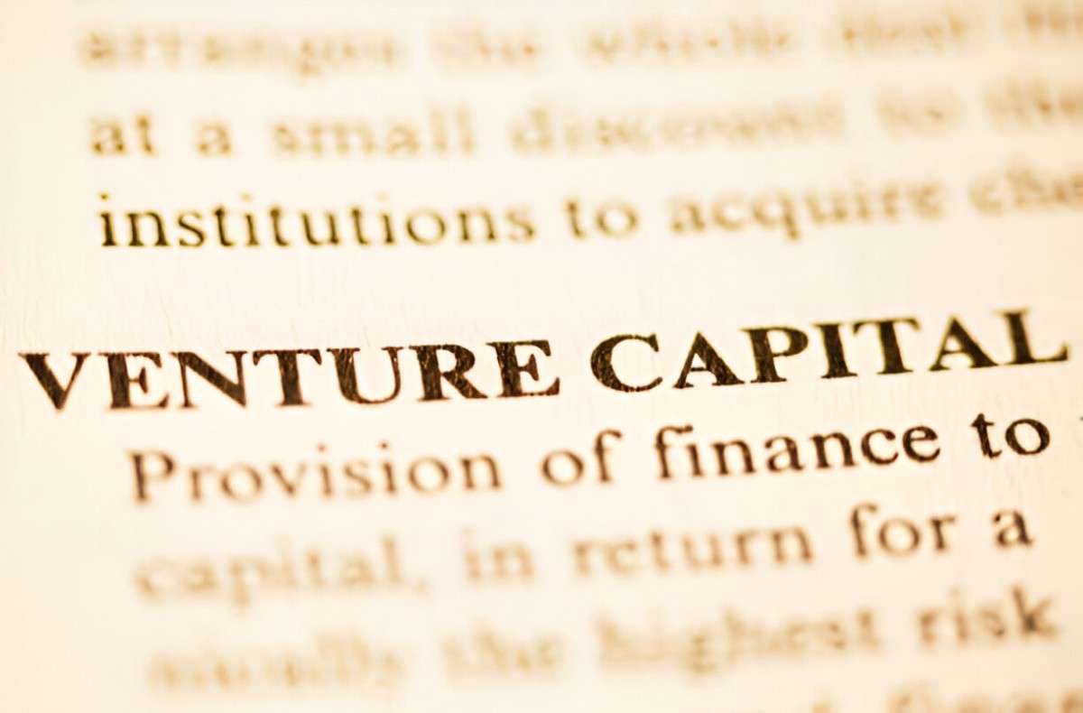 Venture Capital Risk Theory A Comprehensive Exploration