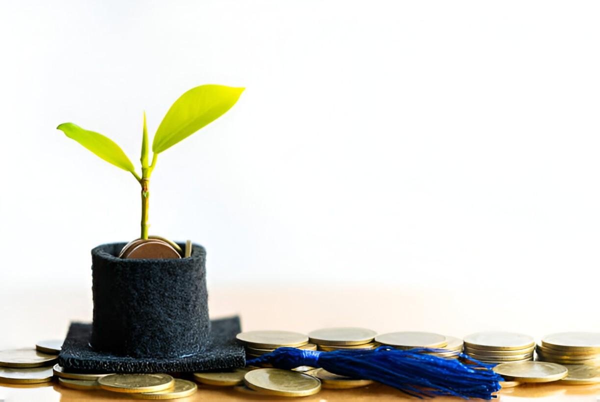 10 best small cap mutual funds