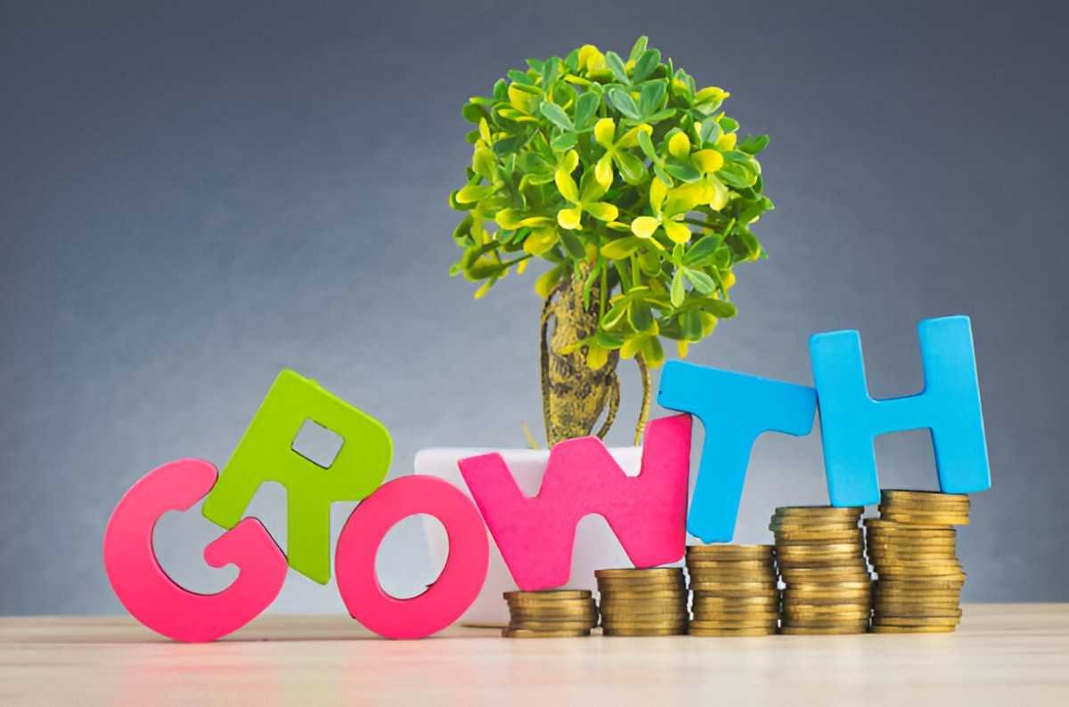 12 growth stock mutual funds