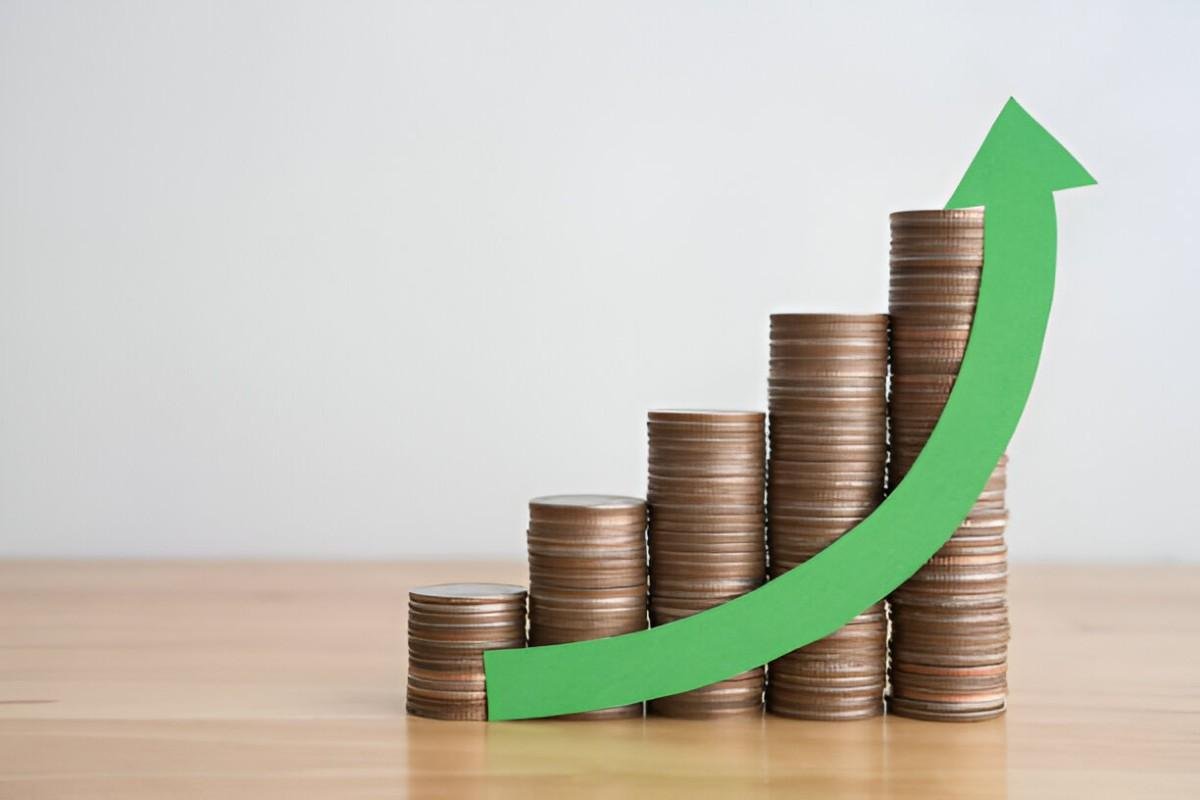 2hat are the top rated no load mutual funds