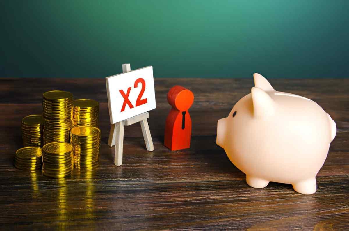2x long term mutual funds