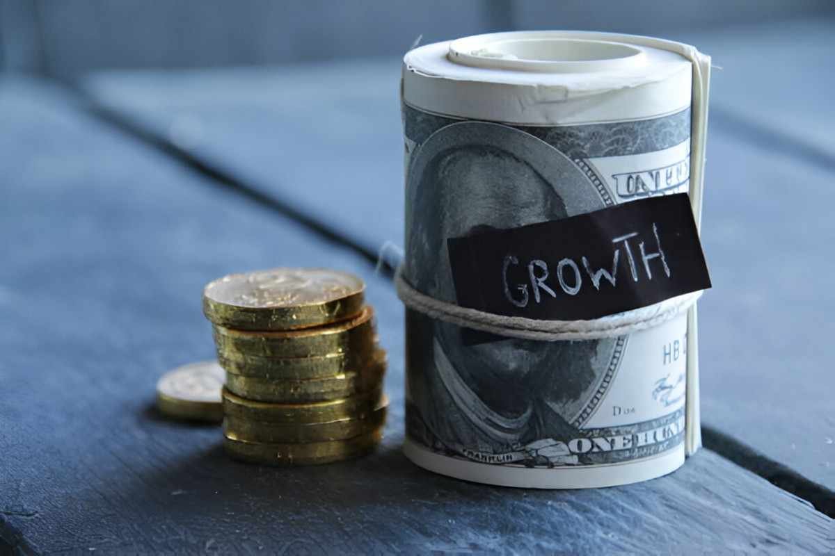 a a large cap growth u.s stock mutual fund