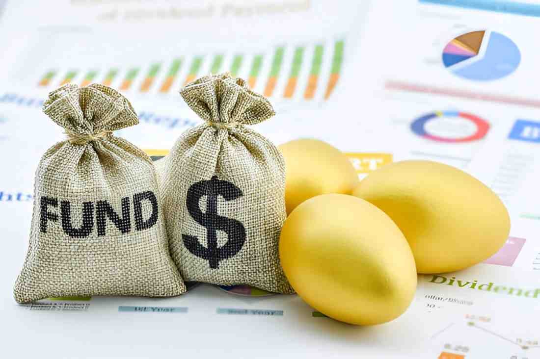 a mutual fund's exense ratio indicates the