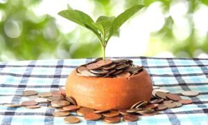 a passive large cap growth mutual fund