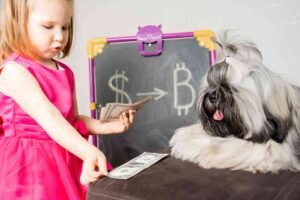 about mutual funds for beginners