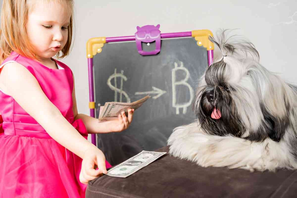 about mutual funds for beginners