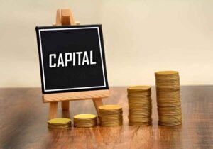 aew capital management mutual funds