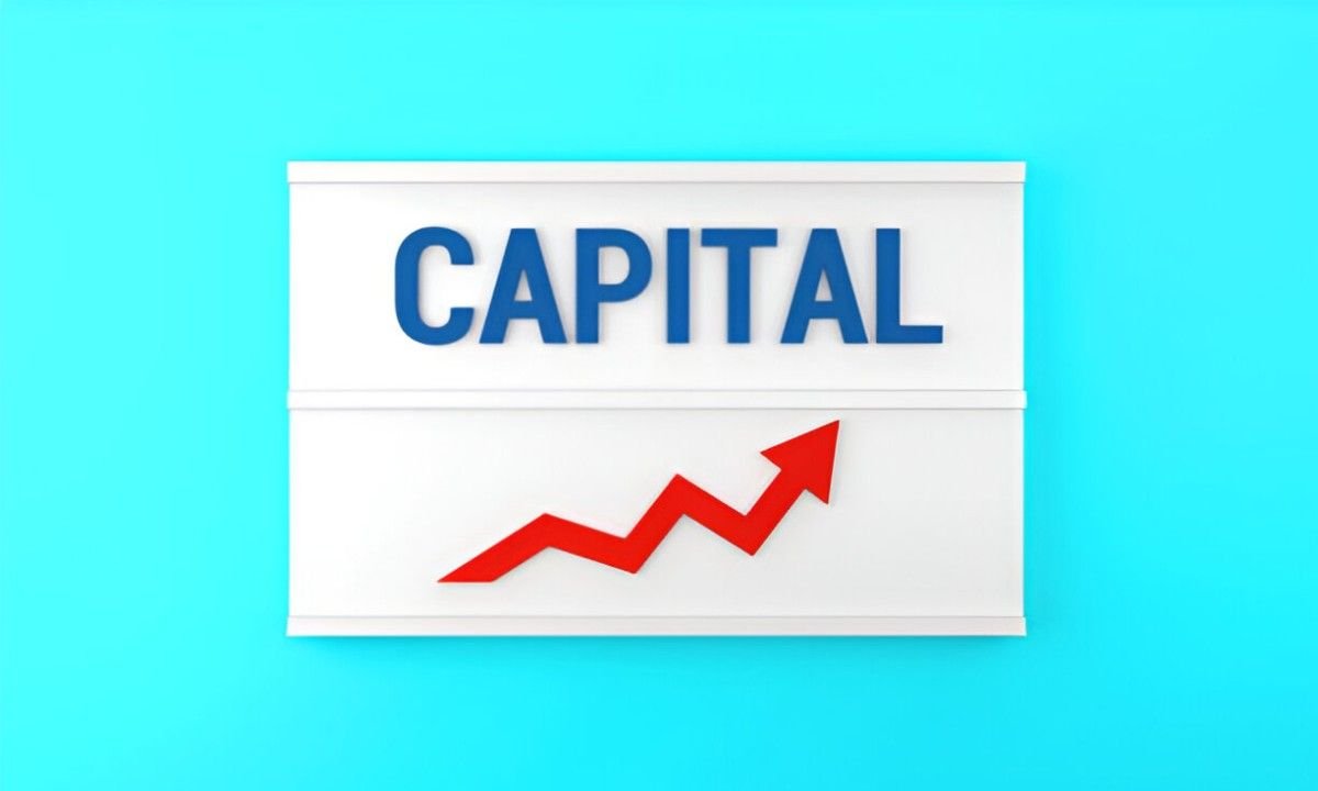 mutual funds that invest in large capitilization stocks