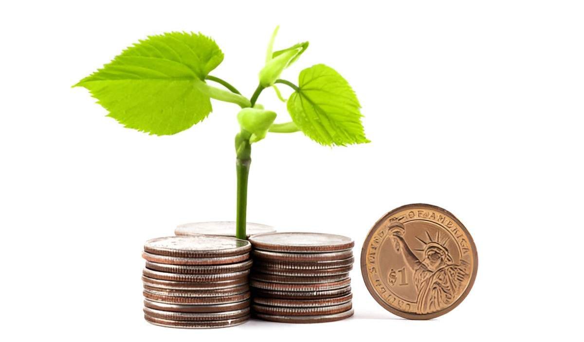 american century growth mutual fund