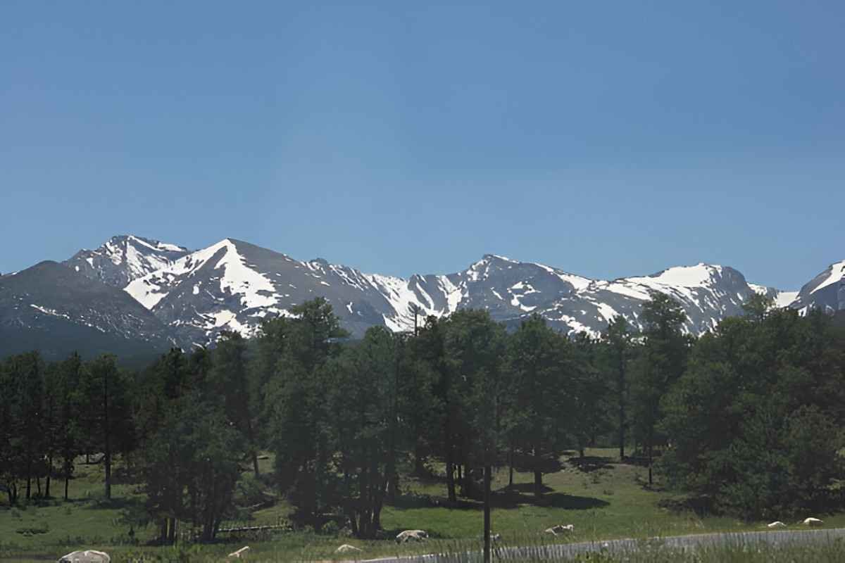 american century mountain view mutual funds