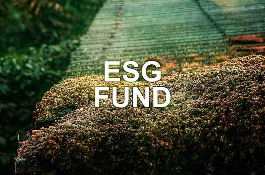 anti esg mutual funds