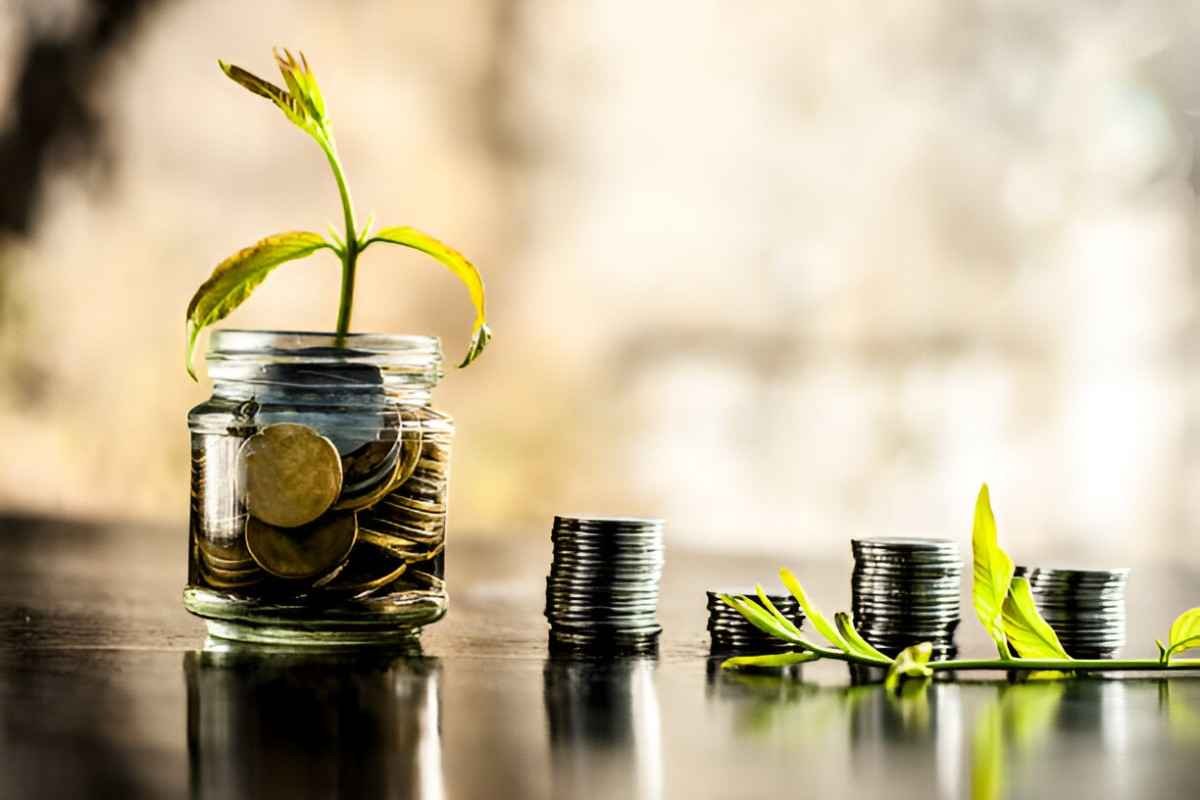 asset management company vs mutual funds