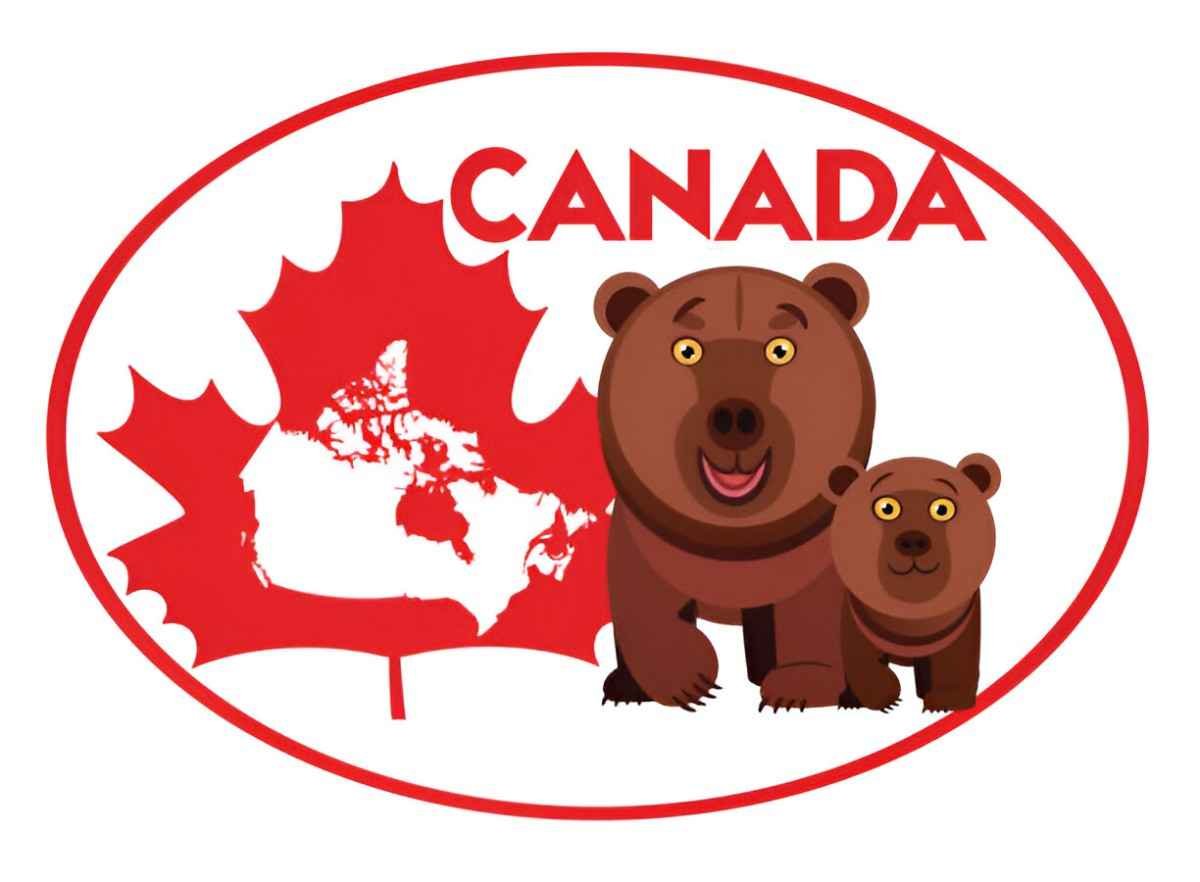 bear market mutual funds canada